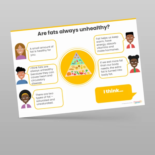 An image of the Animals including Humans Concept Cartoons Resource