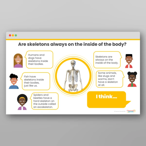 An image of the Animals including Humans Concept Cartoons Resource