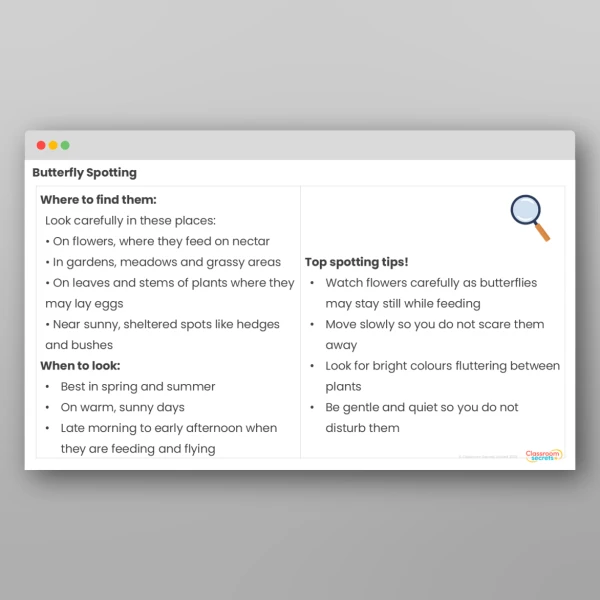 An image of the Free Butterflies Activity Pack Resource