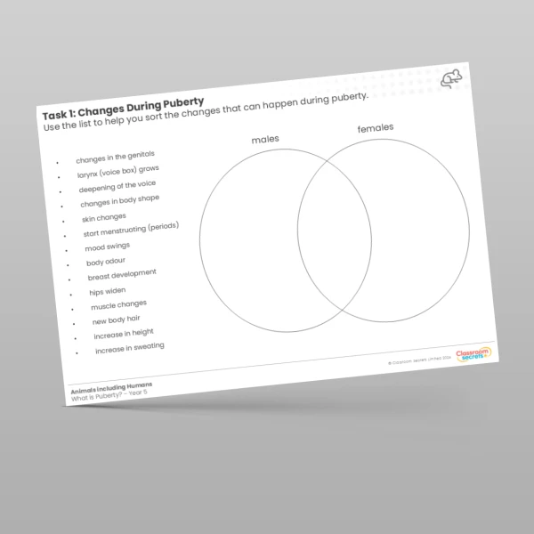 An image of the Lesson 4: Changes During Puberty Worksheet Resource