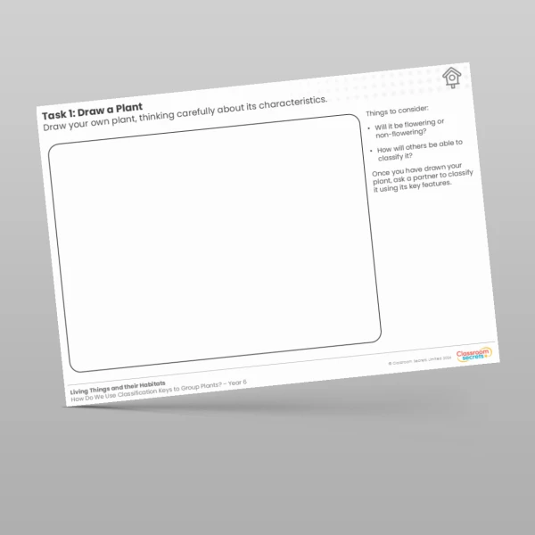 An image of the Lesson 2: Draw a Plant Worksheet Resource