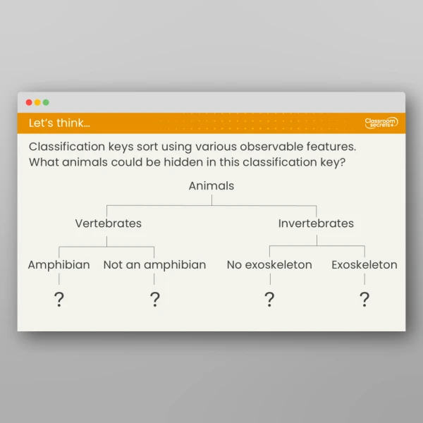 An image of the Lesson 3: How do We Use Classification Keys to Group Animals? Resource