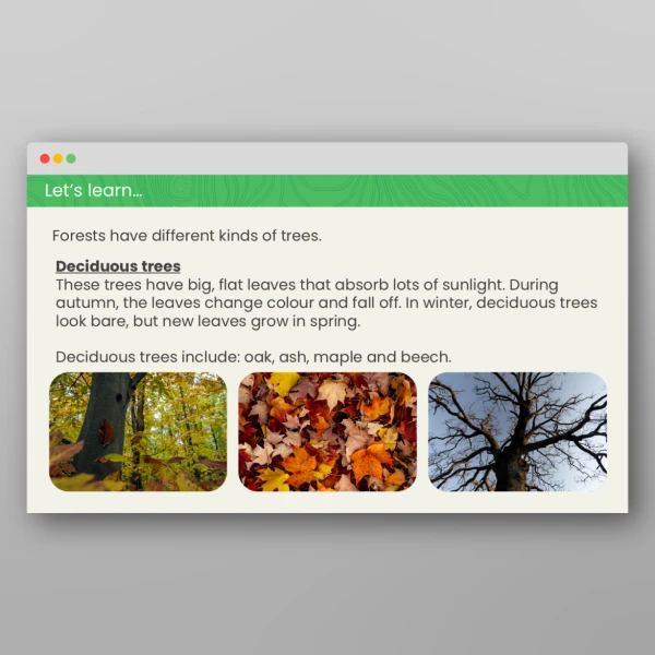 An image of the What is a Forest? Geography PPT Resource