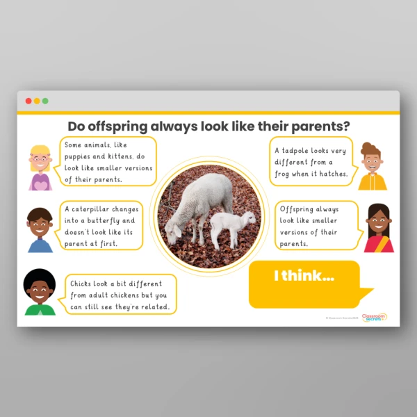 An image of the Animals Including Humans Concept Cartoons Resource