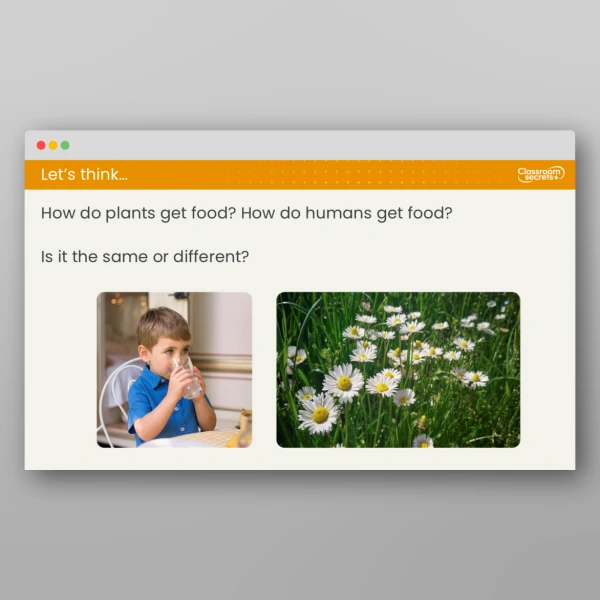 An image of the Lesson 1: Why is Diet Important? Resource