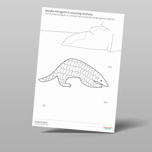 An image of the Endangered Animals Colouring Activity Pack Resource