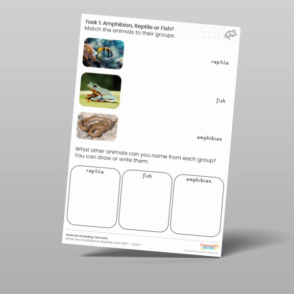 An image of the Lesson 1: Identifying Amphibians, Reptiles and Fish Worksheet Resource