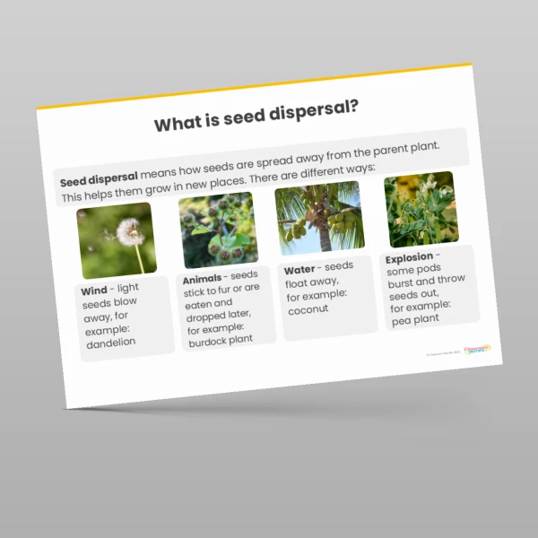 An image of the Plants Display Pack Resource