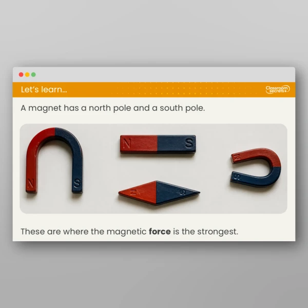 An image of the Lesson 4: What Are Magnetic Poles? Resource