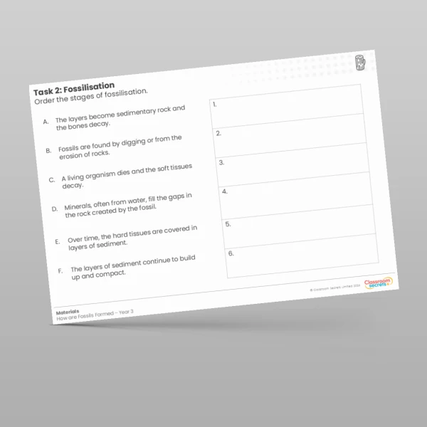 An image of the Lesson 3: Fossilisation Worksheet Resource