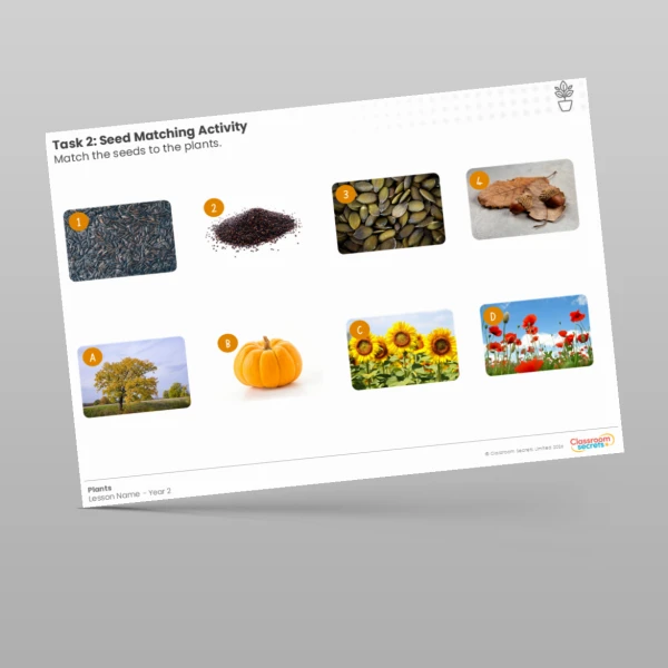 An image of the Lesson 2: Seed Matching Activity Worksheet Resource