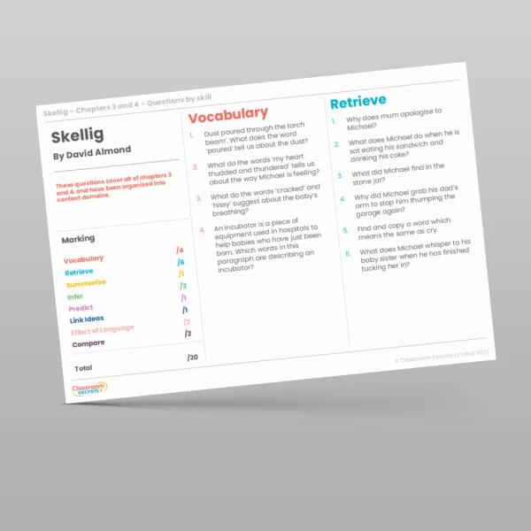 An image of the Reading Skills - Skellig - Chapters 3 & 4 Resource