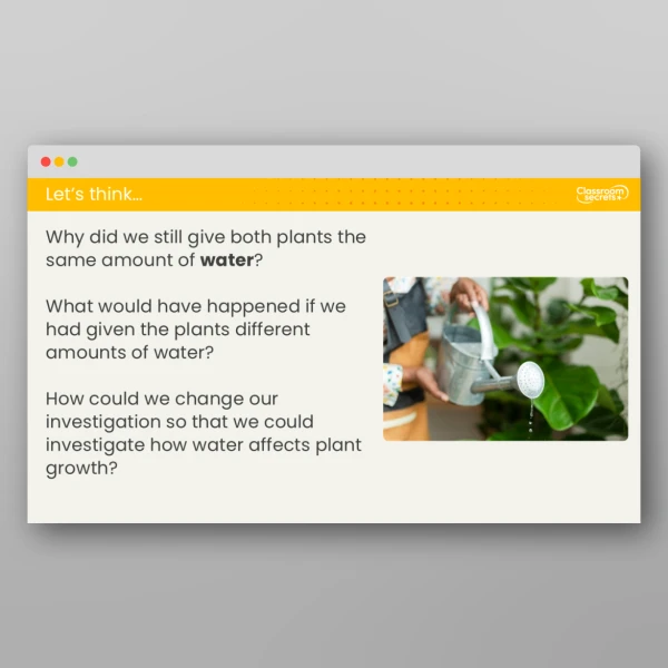 An image of the Lesson 4: What Do Plants Need to Grow? 2 Investigation Resource