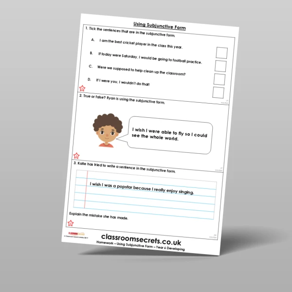 An image of the Using Subjunctive Form Homework Resource