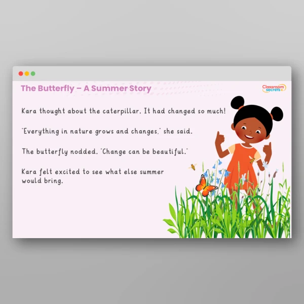 An image of the The Butterfly - A Summer Story Resource