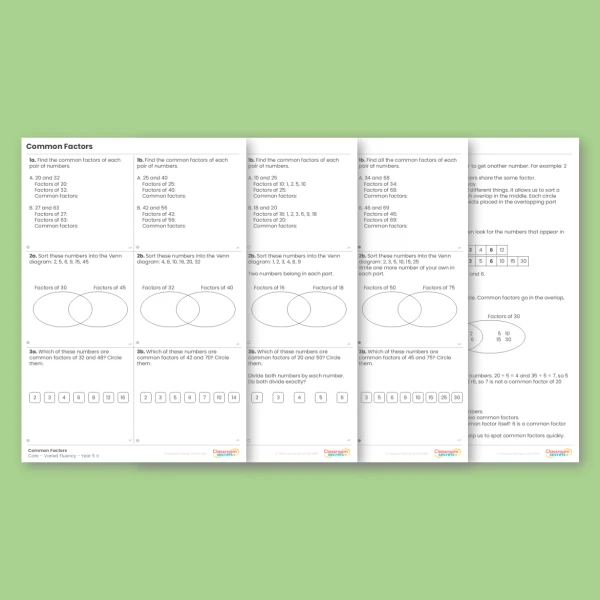 Year 5 Common Factors Multiplication and Division A Varied Fluency