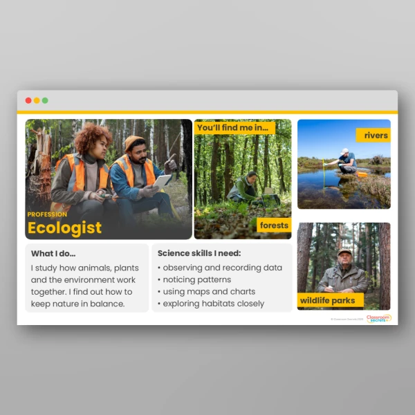 An image of the Environments and Habitats Display Pack Resource