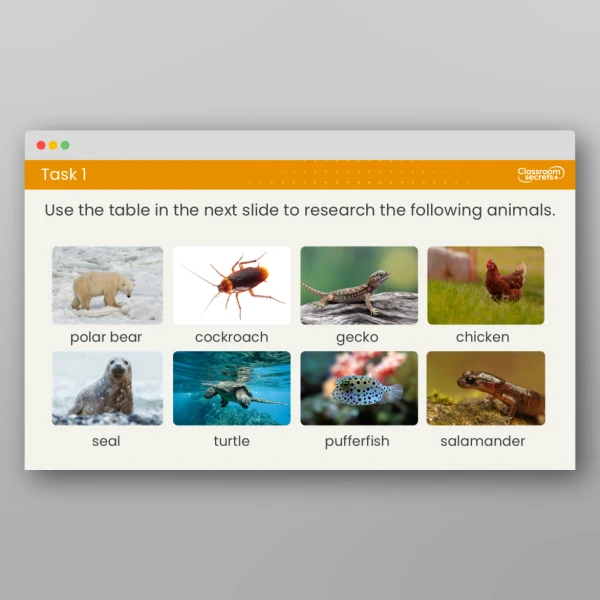 An image of the Free Lesson 1: How Can We Group Animals? Resource