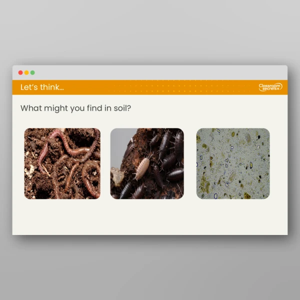 An image of the Lesson 5: What is Soil? Resource