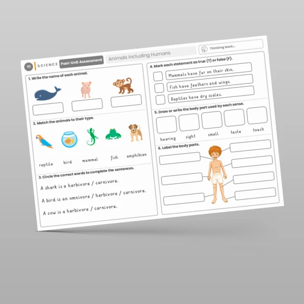 An image of the Animals including Humans Post-Unit Assessment Resource