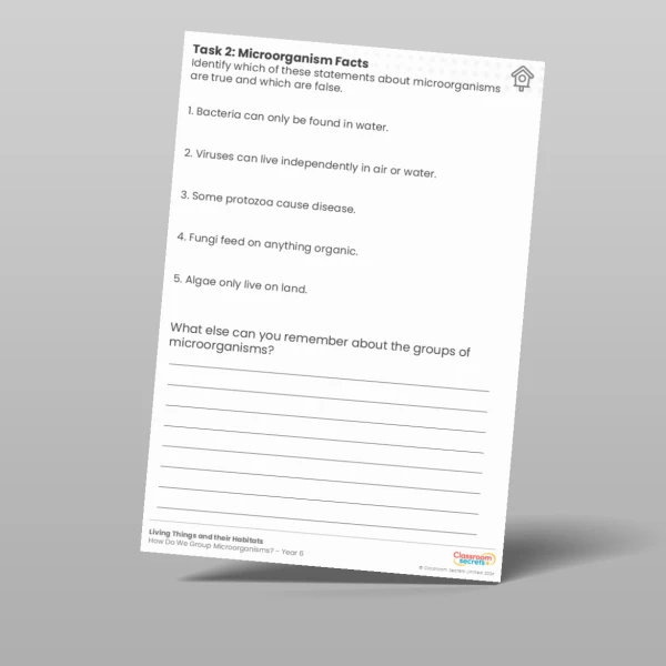 An image of the Lesson 5: Microorganism Facts Worksheet Resource