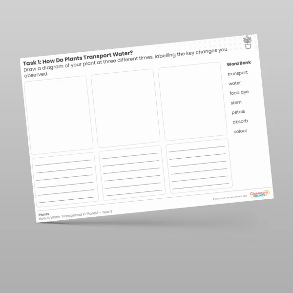 An image of the Lesson 3: How Do Plants Transport Water? Worksheet Resource