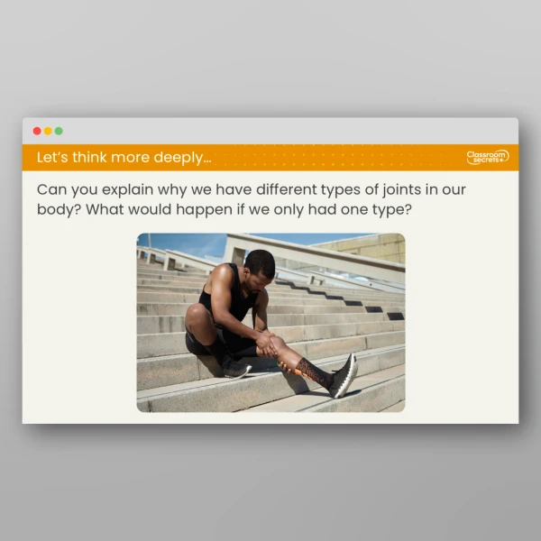 An image of the Lesson 4: What are Joints and Muscles? Resource