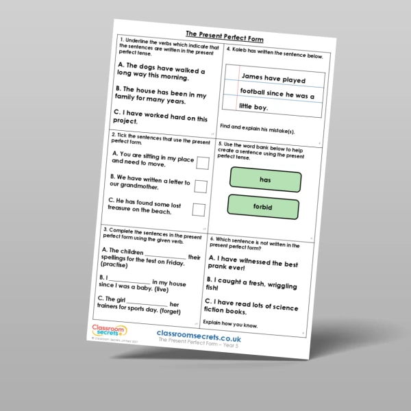An image of the The Present Perfect Form Mixed Activity Resource