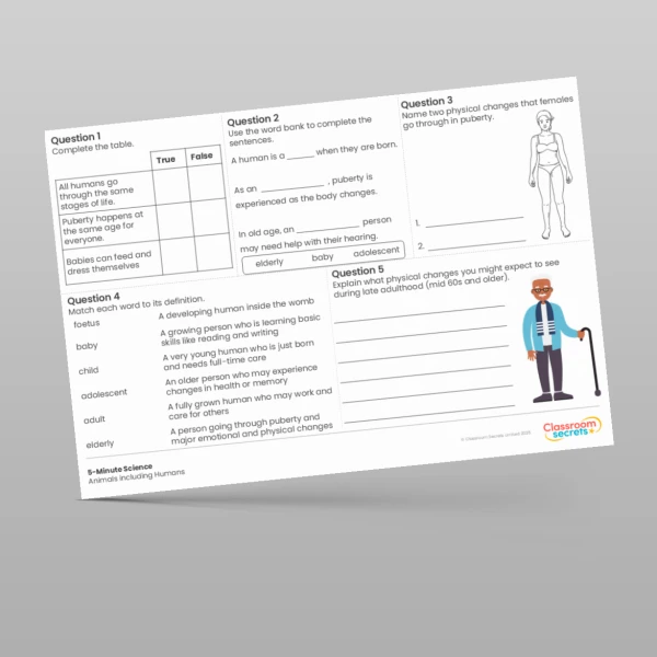 An image of the Animals including Humans 5-Minute Science Resource