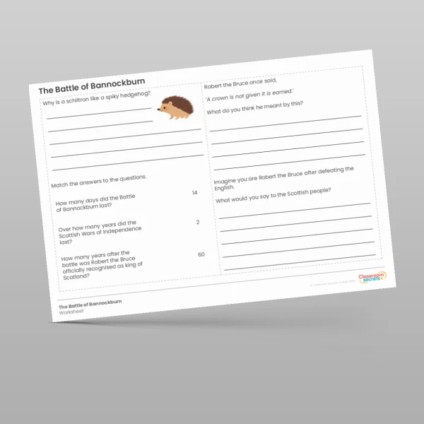 An image of the The Battle of Bannockburn Worksheet Resource