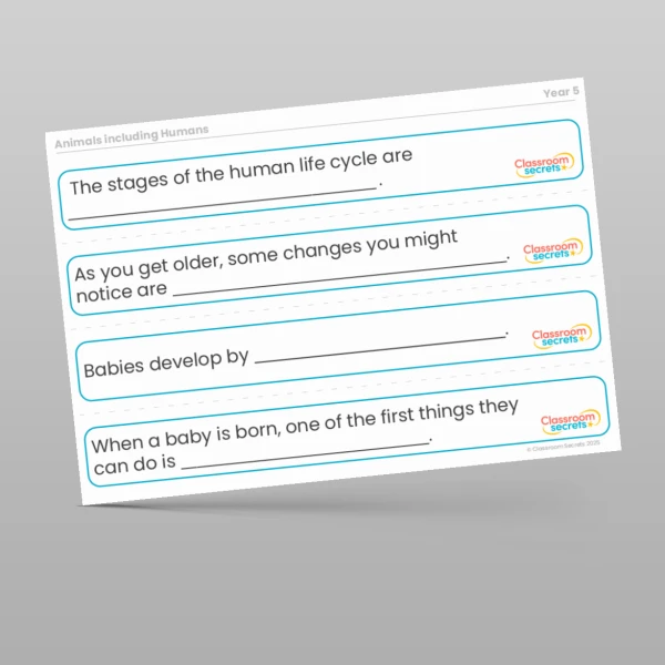 An image of the Animals including Humans Stem Sentences Resource