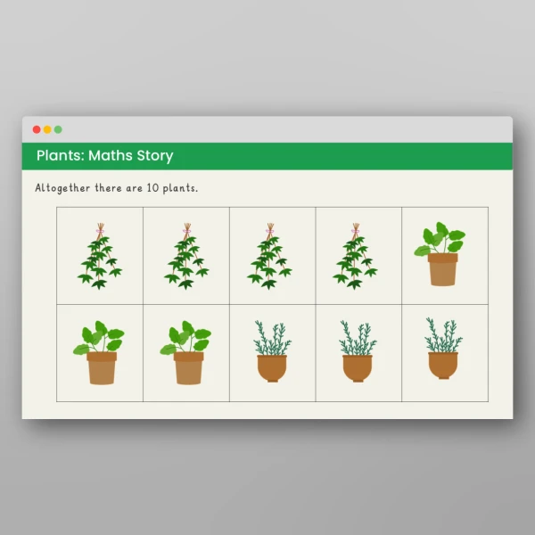 An image of the Plants Maths Story Resource