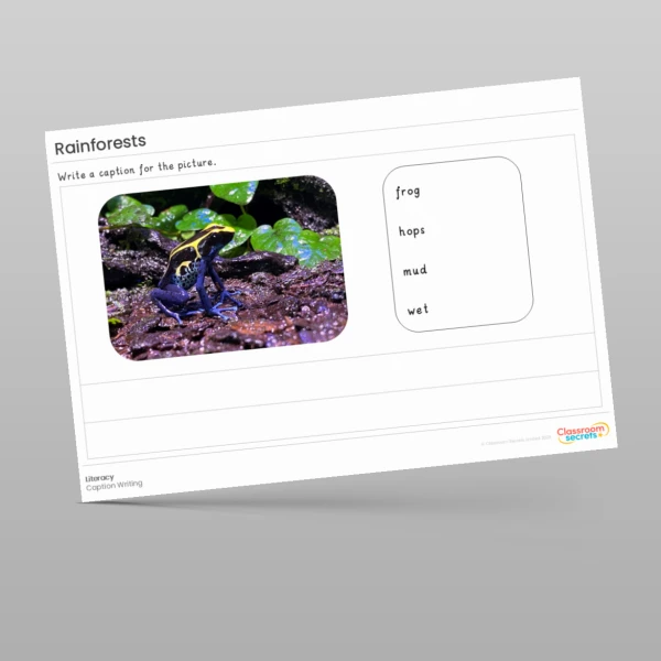 An image of the Amazing World - Rainforests Literacy Activities Resource