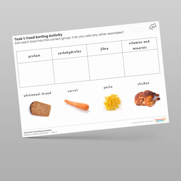 An image of the Lesson 5: Food Sorting Activity Worksheet Resource
