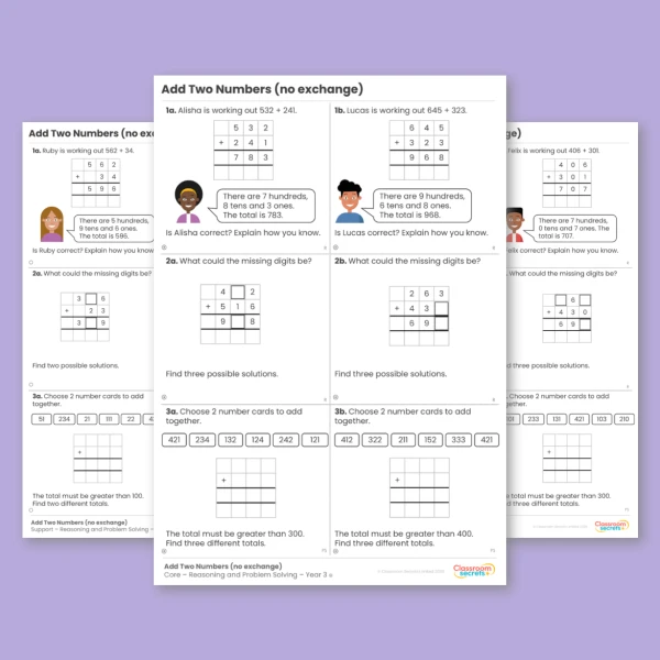 An image of the Add Two Numbers (No Exchange) Reasoning and Problem Solving Resource