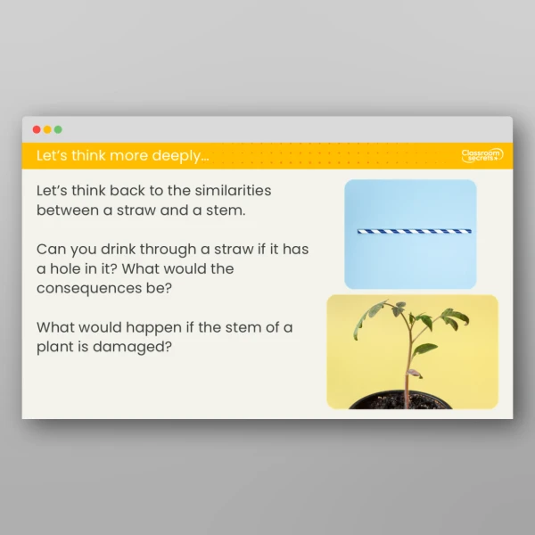 An image of the Lesson 3: How is Water Transported in Plants? Investigation Resource