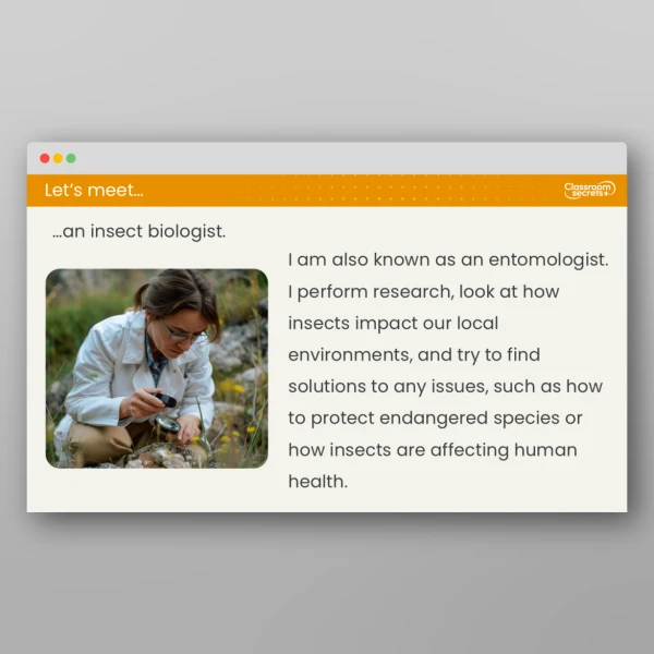 An image of the Lesson 3: What are Invertebrates? Resource