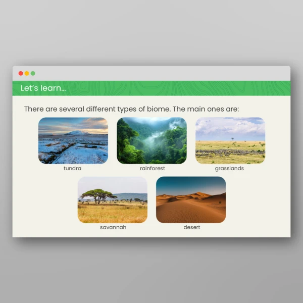 An image of the What are Biomes? Geography PPT Resource