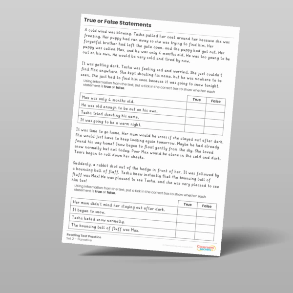 An image of the True or False Statements Reading Test Practice Resource