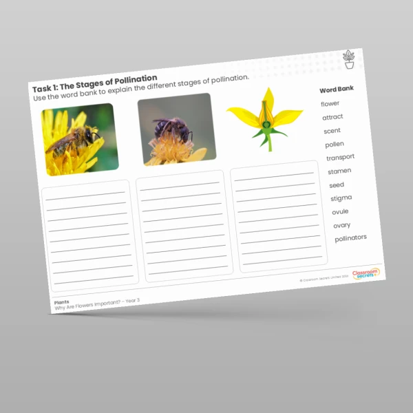 An image of the Lesson 2: The Stages of Pollination Worksheet Resource