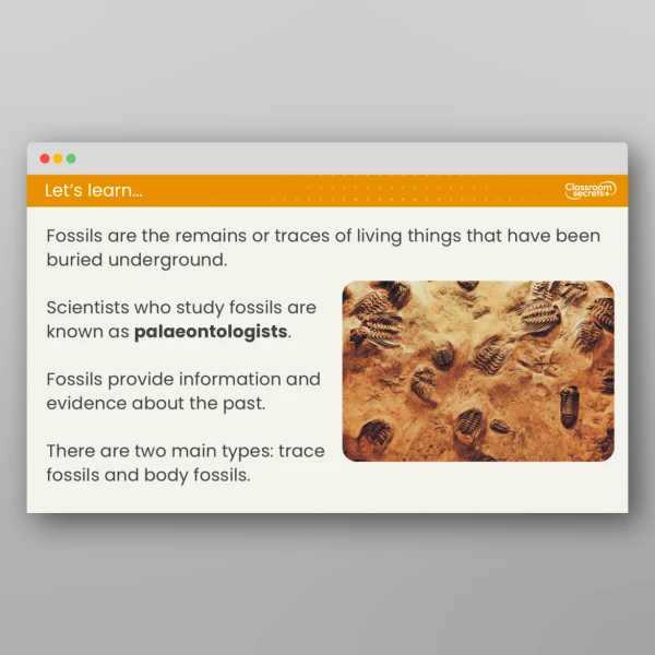 An image of the Lesson 3: How are Fossils Formed? Resource