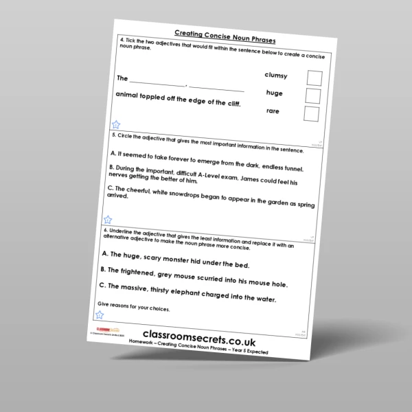 An image of the Creating Concise Noun Phrases Homework Resource