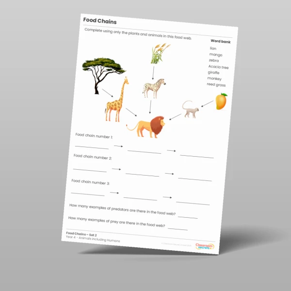 An image of the Food Chains Activity Resource