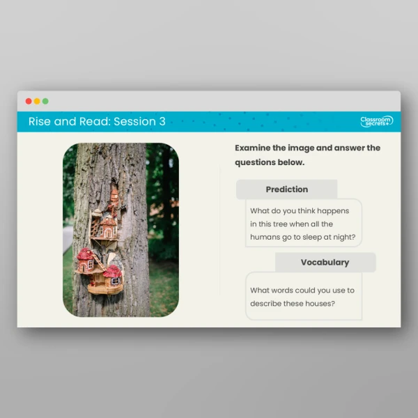 An image of the Rise and Read Fairies Resource