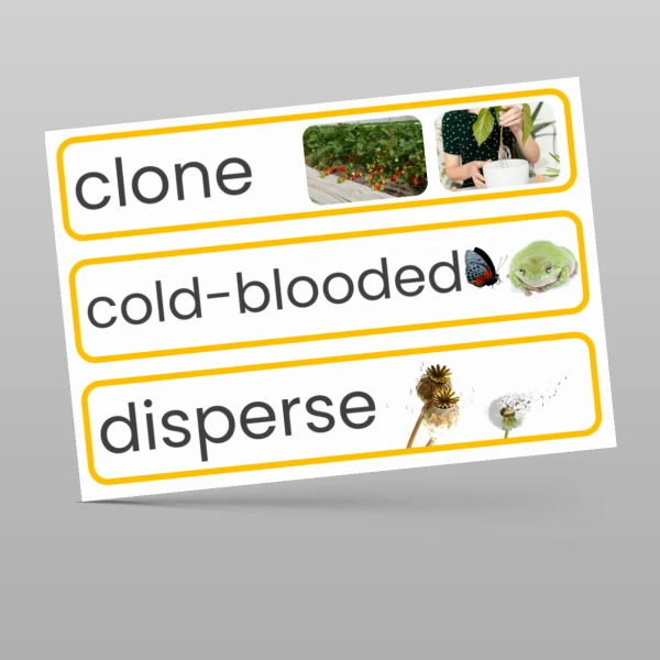An image of the Living Things and their Habitats Display Pack Resource