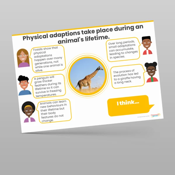 An image of the Evolution and Inheritance Concept Cartoons Resource