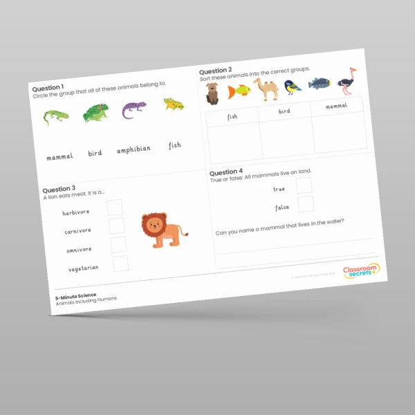 An image of the Animals including Humans 5-Minute Science Resource