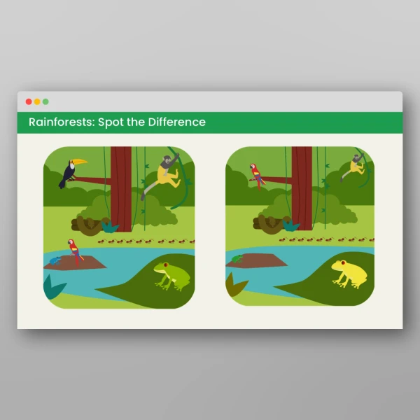 An image of the Amazing World - Rainforests Visual Discrimination Activities Resource