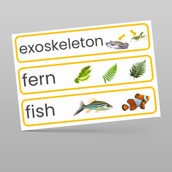 An image of the Living Things and their Habitats Display Pack Resource