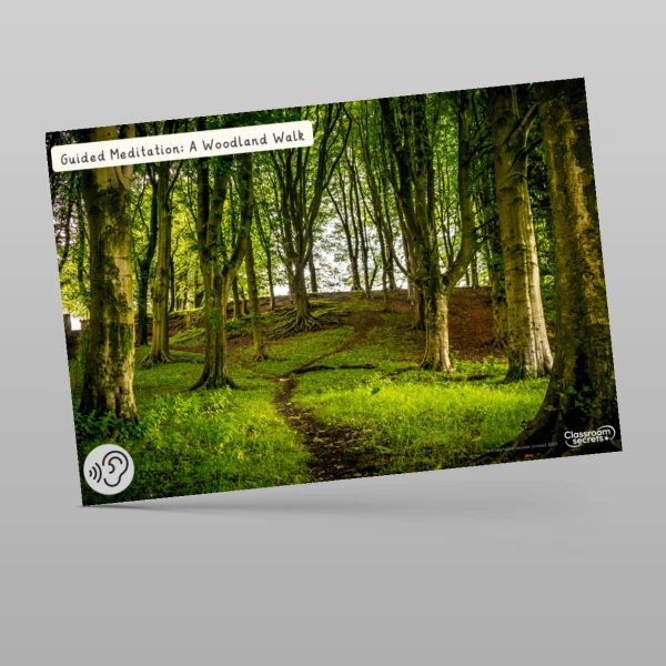 An image of the Guided Meditation: A Woodland Walk PPT Resource